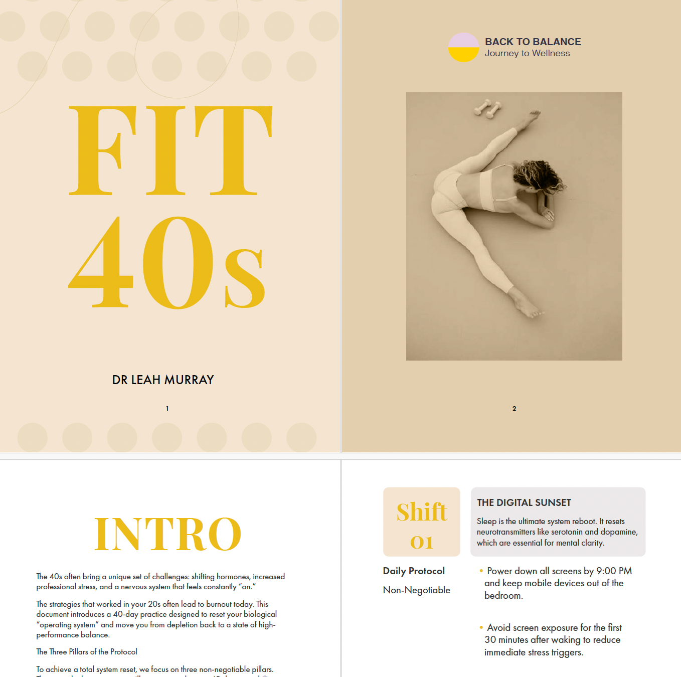 FIT 40