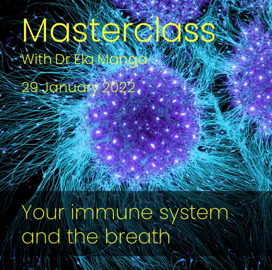 Your immune system and the breath