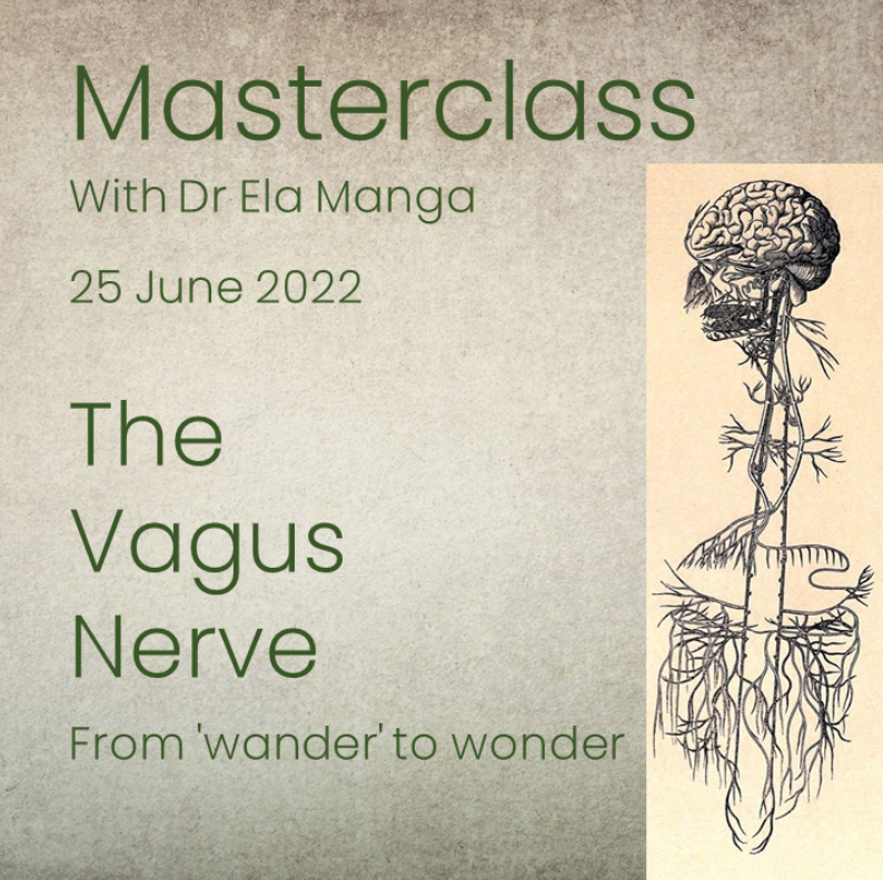 The Vagus nerve - from 'wander' to wonder